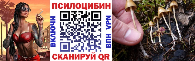 Галлюциногенные грибы MAGIC MUSHROOMS  Купить где  Волгоград 